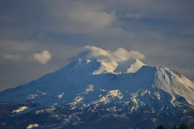 DSC_6014 (Large).JPG